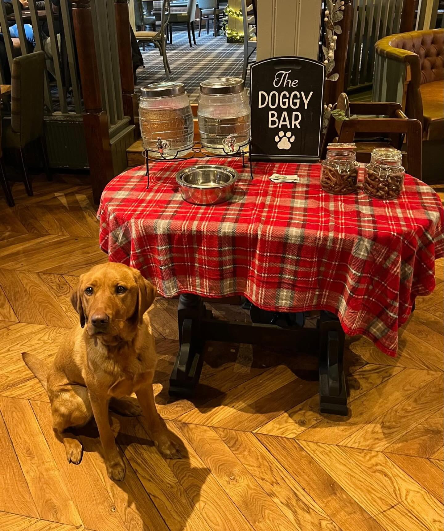 The Doggy Bar at The Crown with treats and water for visiting dogs